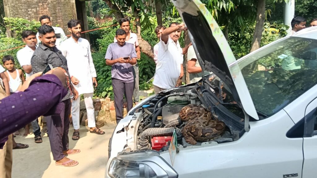 Barabanki: कार का बोनट खोलते ही भाजपा नेता के उड़े होश, अंदर बैठा मिला 7 फीट लंबा अजगर, कौतूहल का विषय बनी घटना