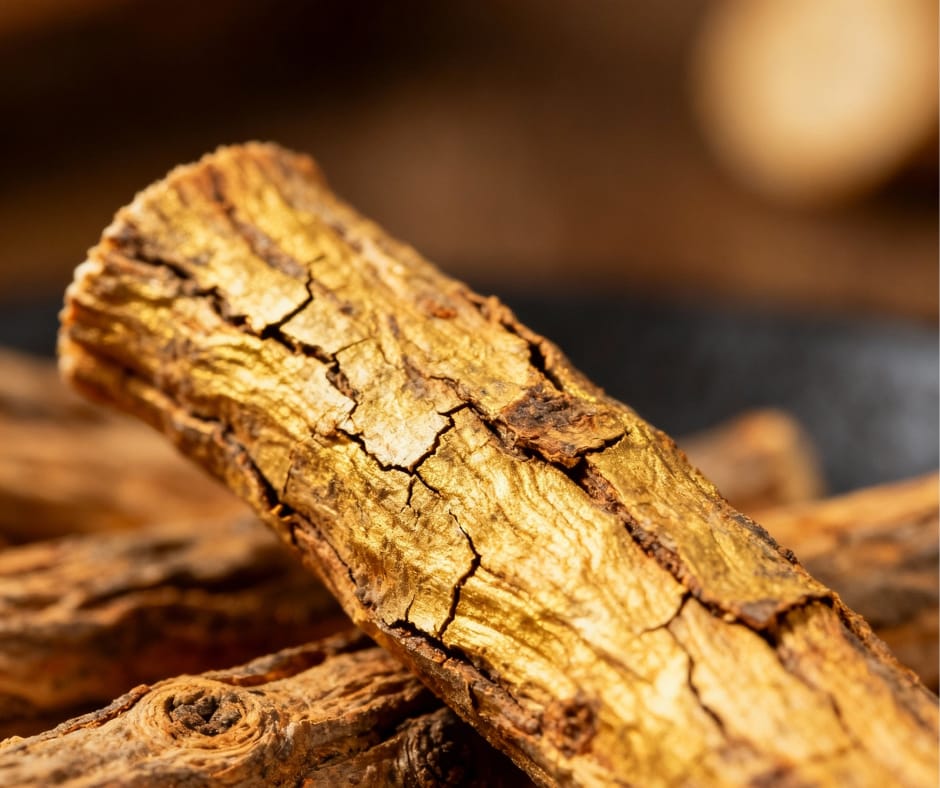 Barabanki: “औषधियों की रानी” मुलेठी; गले की खराश से लेकर त्वचा की चमक तक — जाने चमत्कारी फायदे, सही सेवन और सावधानियां