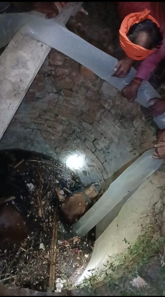 Barabanki: खुले कुएँ में गिरी गाय, ग्रामीणों की सूझबूझ और साहस से बची जान — 4 घंटे चला रेस्क्यू अभियान