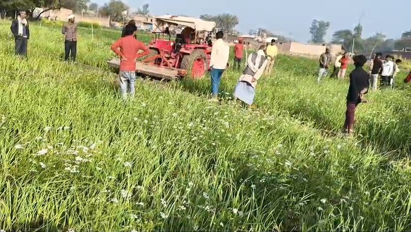 Barabanki News: ग्राम चकिया में प्रशासन की बड़ी कार्रवाई, बोई गई फसल जोतकर अतिक्रमण मुक्त कराई गई सरकारी ज़मीन